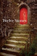 Twelve Stones: Notes on a Miraculous Journey- A Memoir