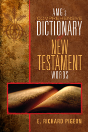 AMG's Comprehensive Dictionary of New Testament Words *Scratch & Dent*