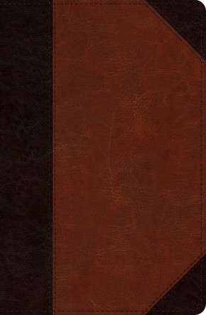 ESV Verse-by-Verse Reference Bible (TruTone, Brown/Cordovan, Portfolio Design)