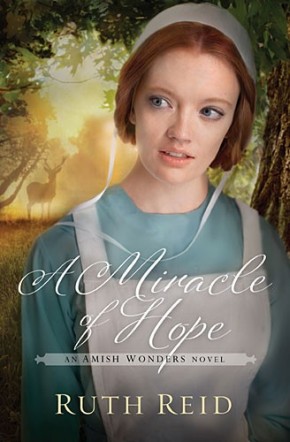 A Miracle of Hope (The Amish Wonders Series)