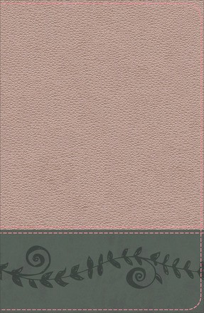 KJV Study Bible for Girls Pink Pearl/Gray, Vine Design LeatherTouch