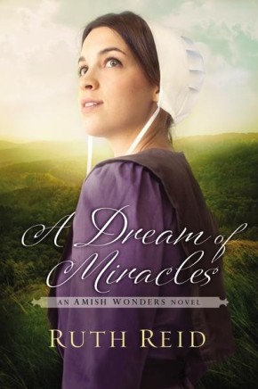 A Dream of Miracles (The Amish Wonders Series)