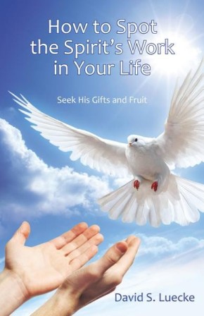 How to Spot the Spirit's Work in Your Life: Seek His Gifts and Fruit