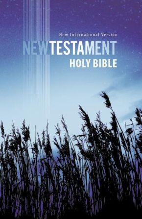 Holy Bible: New International Version, Outreach New Testament
