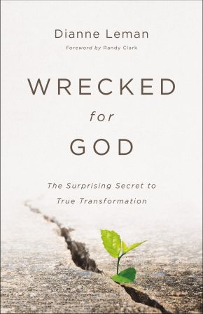 Wrecked for God: The Surprising Secret to True Transformation *Scratch & Dent*