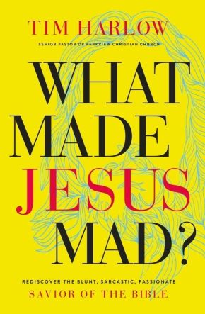 What Made Jesus Mad?*: Rediscover the Blunt, Sarcastic, Passionate Savior of the Bible