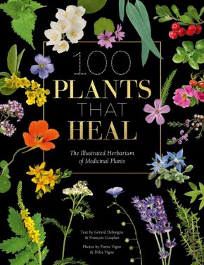 100 Plants that Heal: The illustrated herbarium of medicinal plants *Scratch & Dent*