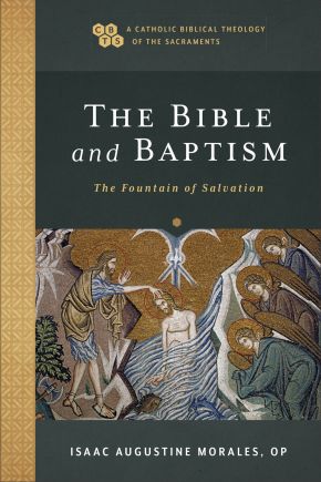 The Bible and Baptism: The Fountain of Salvation (A Catholic Biblical Theology of the Sacraments)