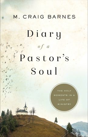 Diary of a Pastor's Soul: The Holy Moments in a Life of Ministry