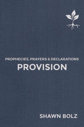 Provision: Prophecies, Prayers & Declarations (2)