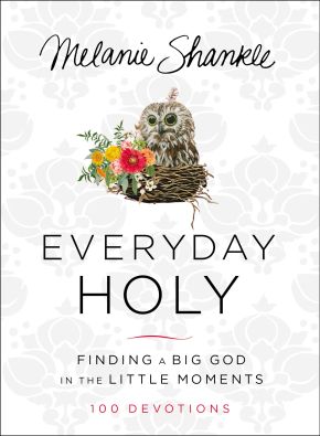 Everyday Holy: Finding a Big God in the Little Moments *Scratch & Dent*