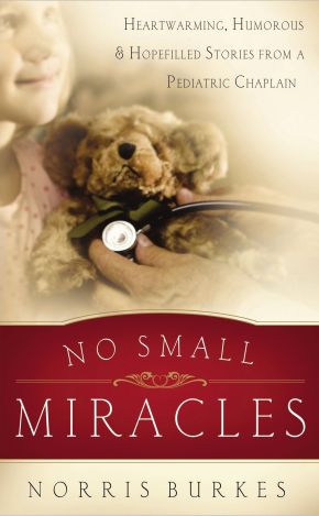 No Small Miracles: Heartwarming, Humorous, and Hopefilled Stories from a Pediatric Chaplain