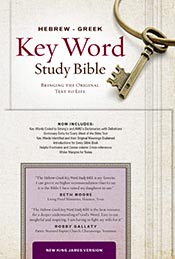 The Hebrew-Greek Key Word Study Bible: NKJV editon, Hardbound (Key Word Study Bibles) *Scratch & Dent*