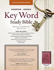 The Hebrew-Greek Key Word Study Bible: ESV Edition, Burgundy Bonded Leather (Key Word Study Bibles)