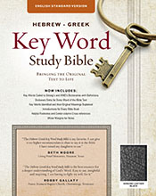 The Hebrew-Greek Key Word Study Bible: ESV Edition, Black Genuine Leather (Key Word Study Bibles) *Scratch & Dent*