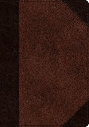 ESV Journaling Psalter (TruTone, Brown/Walnut, Portfolio Design)