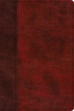 ESV Journaling New Testament, Inductive Edition (TruTone, Burgundy/Red, Timeless Design)