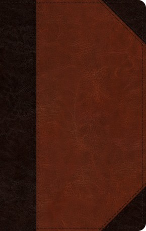 ESV Single Column Thinline Bible (TruTone, Brown/Cordovan, Portfolio Design)