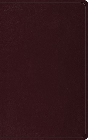 ESV Thinline Bible (Burgundy)
