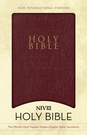 Holy Bible: NIV Gift and Award Bible *Scratch & Dent*