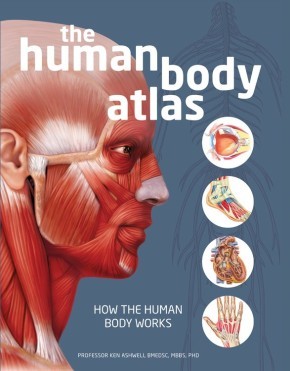 The Human Body Atlas: How the Human Body Works *Scratch & Dent*