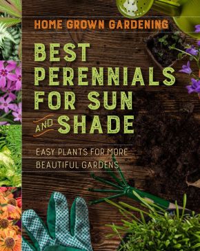 Best Perennials for Sun and Shade (Home Grown Gardening)