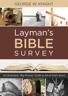Layman's Bible Survey: An Illustrated, 