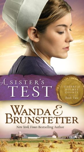 A Sister's Test (Sisters of Holmes County)