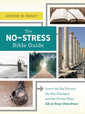The No-Stress Bible Guide: Learn the Big Picture, the Key Passages, and the Divine Plan?All at Your Own Pace