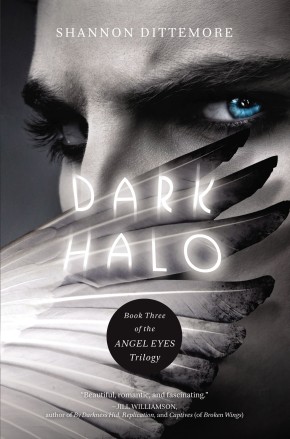 Dark Halo (An Angel Eyes Novel)