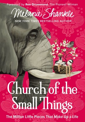 Church of the Small Things: The Million Little Pieces That Make Up a Life *Scratch & Dent*