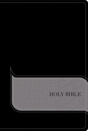 NIV, Understand the Faith Study Bible, Imitation Leather, Black/Gray: Grounding Your Beliefs in the Truth of Scripture