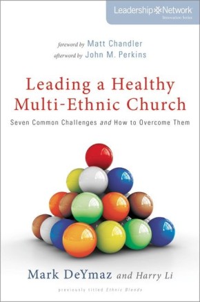 Leading a Healthy Multi-Ethnic Church: Seven Common Challenges and How to Overcome Them (Leadership Network Innovation Series)