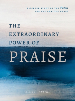 The Extraordinary Power of Praise: A 6-Week Study of the Psalms for the Anxious Heart *Scratch & Dent*