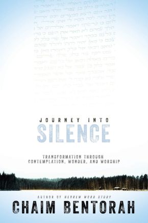 Journey into Silence: Transformation Through Contemplation, Wonder, and Worship (Hebrew Word Study)